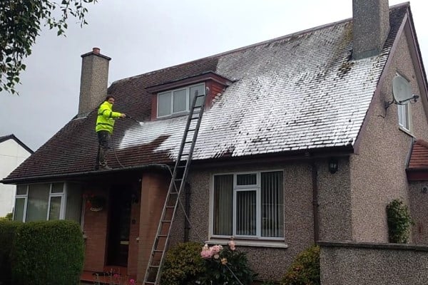 Roof Cleaning Services